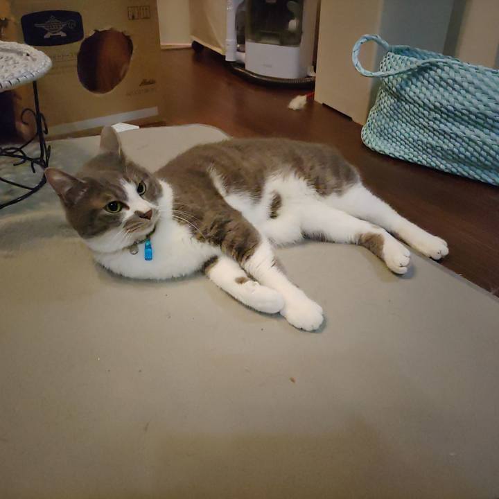 F23541a2 59fd 49b1 8263 7d744d8fda2b 1683723878861