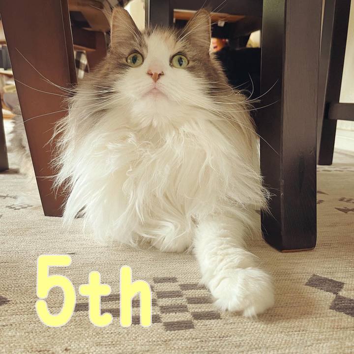 F2358558 6b4b 4754 99c4 67e3a55ab8fb 1653280527333