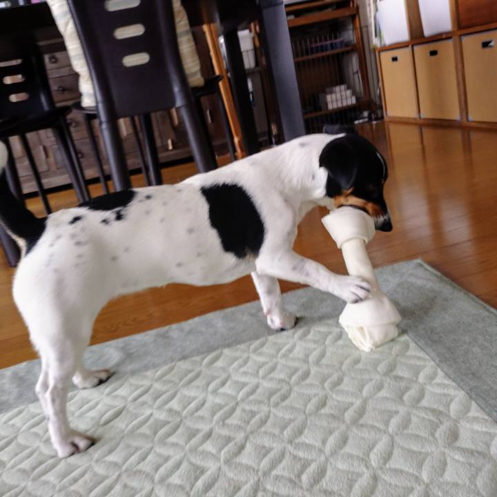 F235a227 d4d2 4744 80bb ad2d24bb95f6 1590457733799