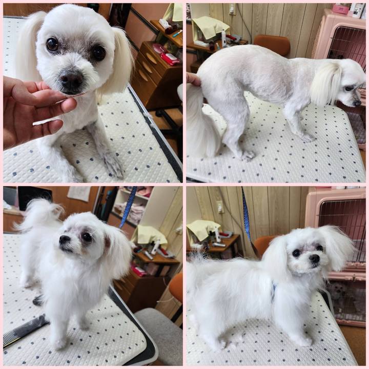 F235be52 2883 48d0 8037 9f01f4020ba6 1711446488562