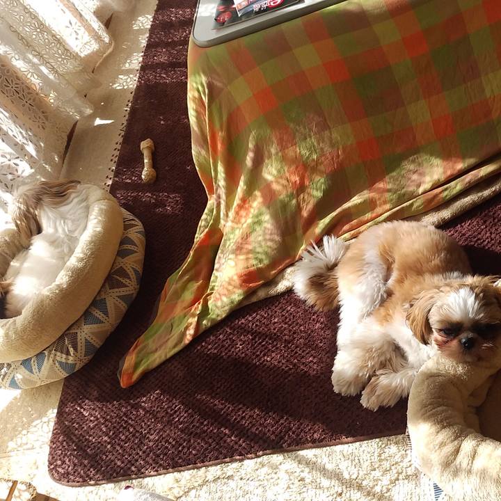 F235cc85 d339 49db ad91 00c740462d1a 1573187009734