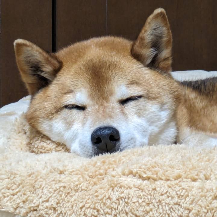 F235f6ac b5f9 46c1 b876 09475e4abae6 1714481464505