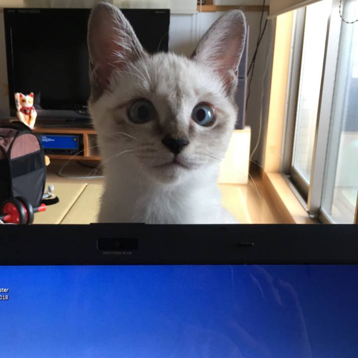 F236440b 8710 4aa5 a7e9 d853b6b76cc1 1535441407811