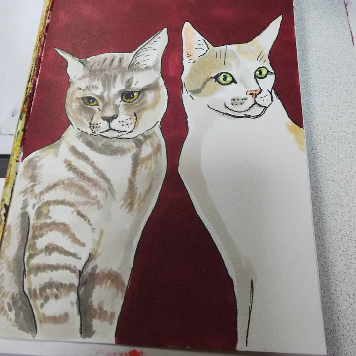 F2364bf0 6f55 43fe 9f64 a005fb96089e 1543733319518