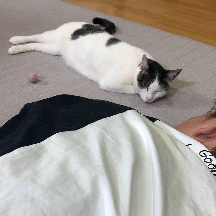 F236525e 70bc 4bf6 9561 73e84d4d220c 1647428736345