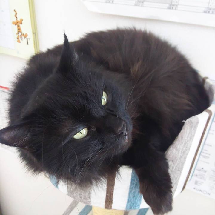 F2365485 567a 4127 8439 b2c34ef98fd7 1550294326983