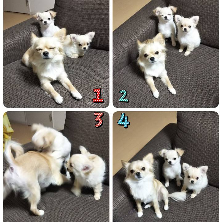 F2365563 58bf 4a60 b225 04af12799caa 1546255846372