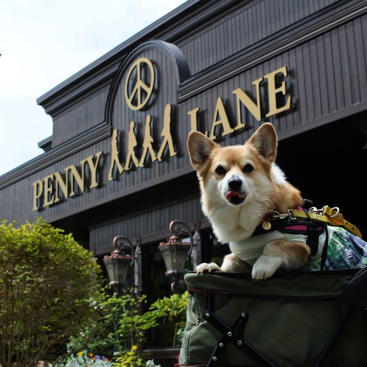 F23691ea 6347 416f b99e 8696896d442a 1714659617768