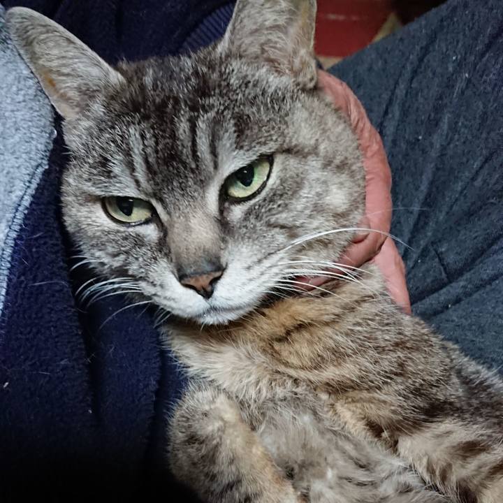 F236953e ee8c 4a6d be7e 41ebd5e9139e 1557311403151