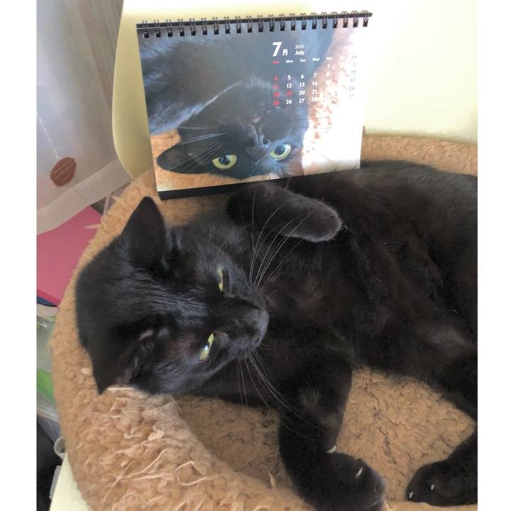 F2369d8c 5eff 4fe6 82f1 7d40f6f8b125 1626574741154