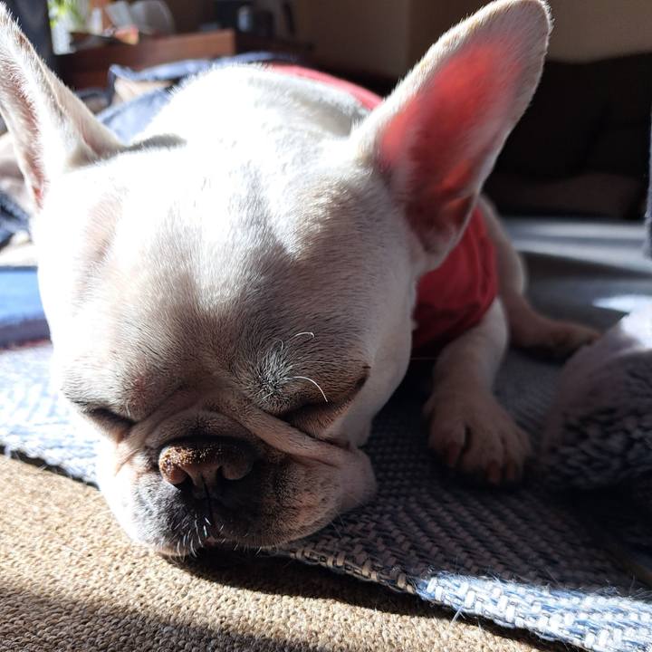 F236cf07 2c0b 48ef b188 7d950aeadbad 1705052649710