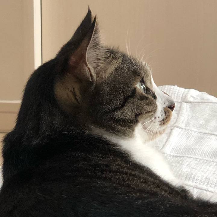 F236fe4b 6169 4c05 a8a3 e628b619008a 1530022023434