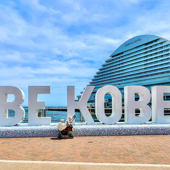 F23721c0 d3aa 4351 aab2 e6b641948df2 1683452907067