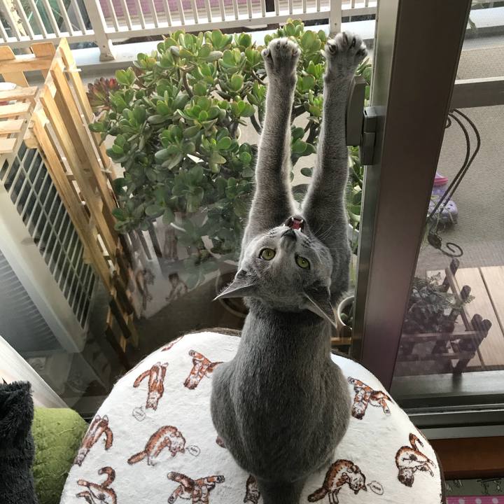 F2373e61 8050 4075 aa6b 093b1f593265 1522747169037