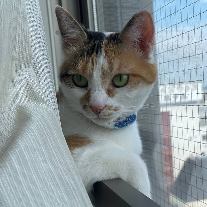 F2374c5e c39b 4a57 8833 60798ae4ea5f 1721792113617