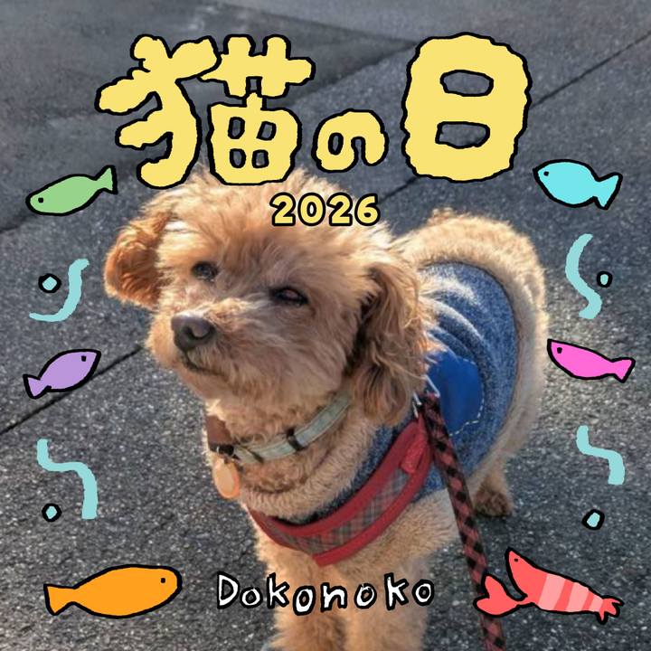 F2375c7c 12a0 443f a139 37e25a621e74 1771727412712