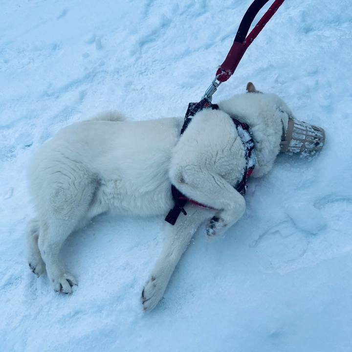 F2378f53 e180 49b5 8562 41193392becc 1707349773977