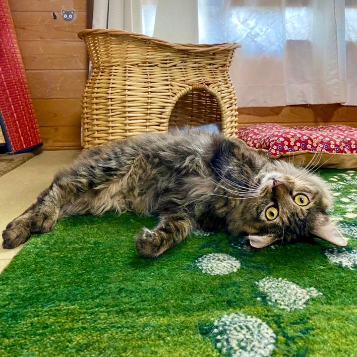 F237b855 3ffc 45a5 ae74 da4f164e9548 1658068049078