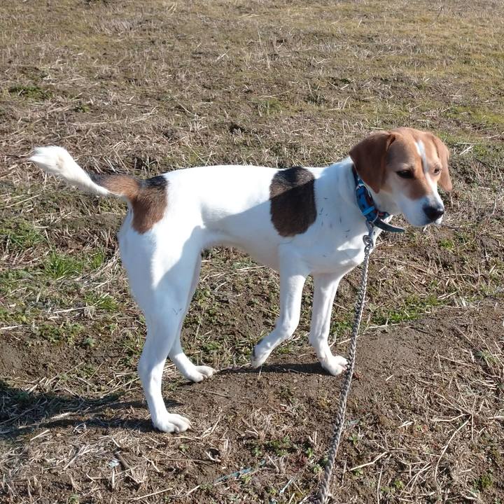 F237bd80 7bf5 40b4 b5d0 bb1633ac7931 1611651655342