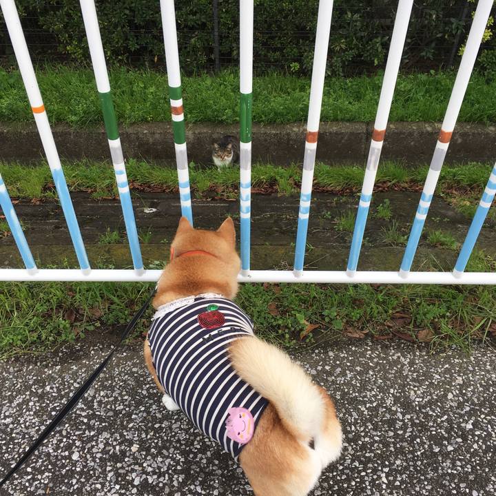 F23815af 26bd 4721 a61c b171645262ab 1613218138151