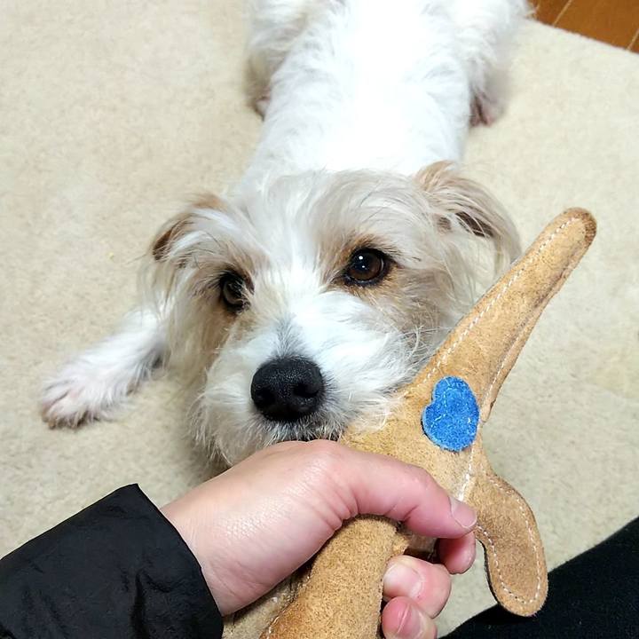 F2381825 459d 499e 9e42 2269bc4d93a4 1523104803917