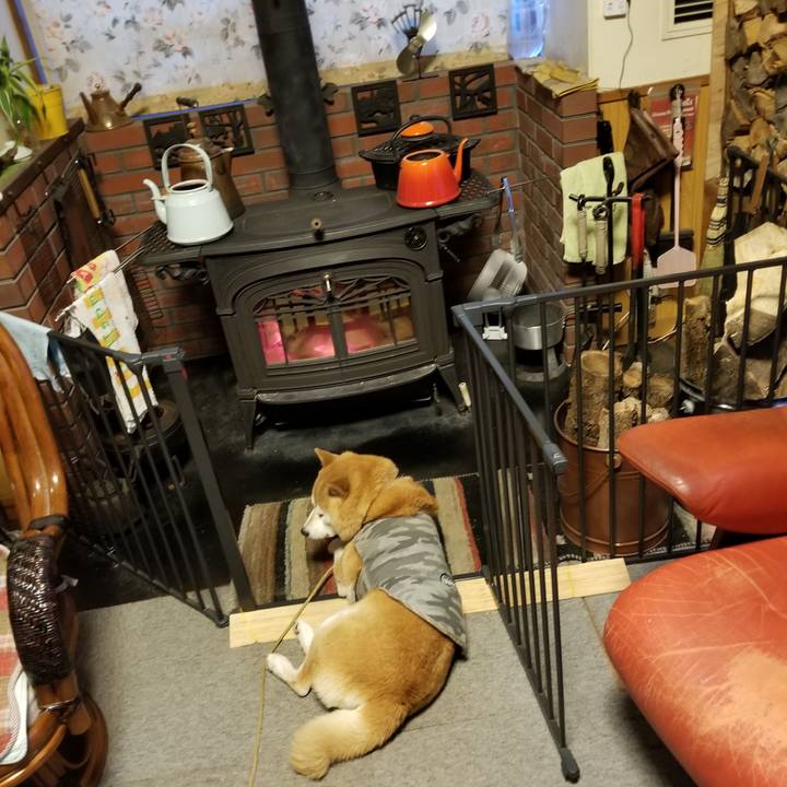 F2383d31 c242 4cfe b44c a40a68b52d58 1639985708974