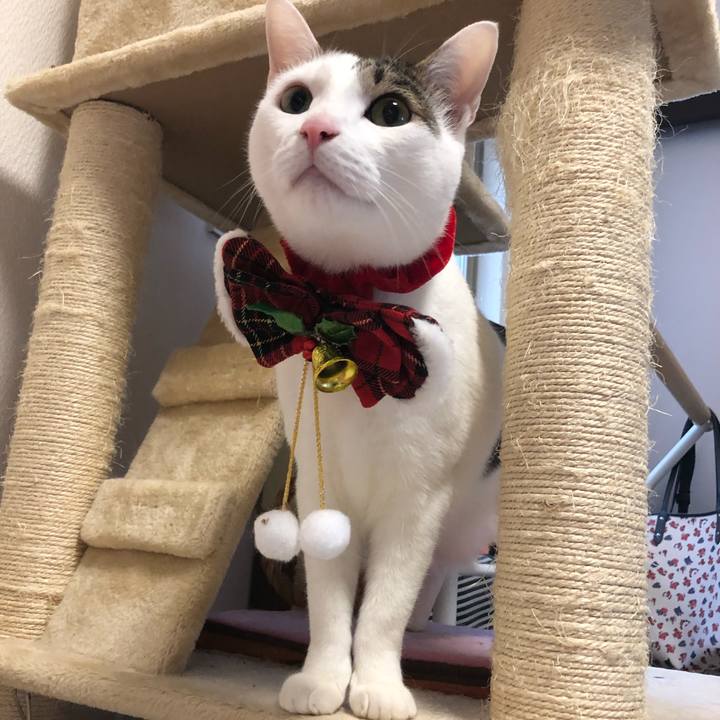 F2386314 93d4 402d af75 69f37583b67e 1545626748743