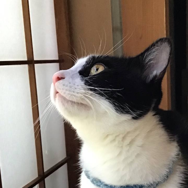 F2386491 a425 4578 8282 9f12e83b052e 1664280549484