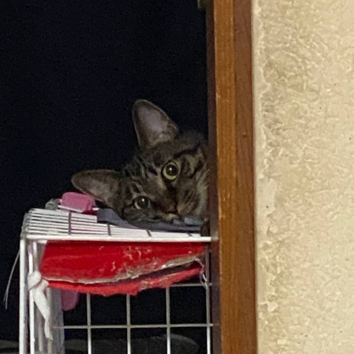 F238d30b ae65 4ebb bd8e 5889c71fb52a 1598146602132