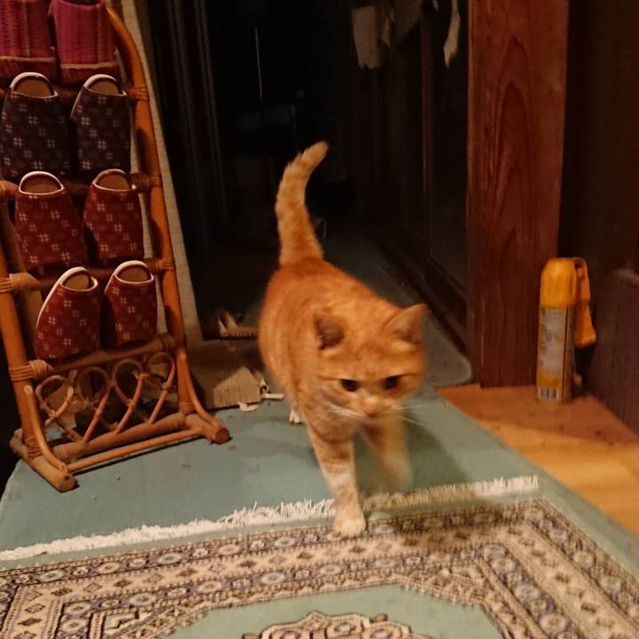 F238fd2c 7d9a 453d 832f c9dfefb1639f 1580202092544