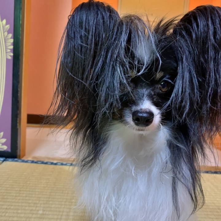 F2393339 2690 4740 82f3 6d2e9c98c458 1593383592305