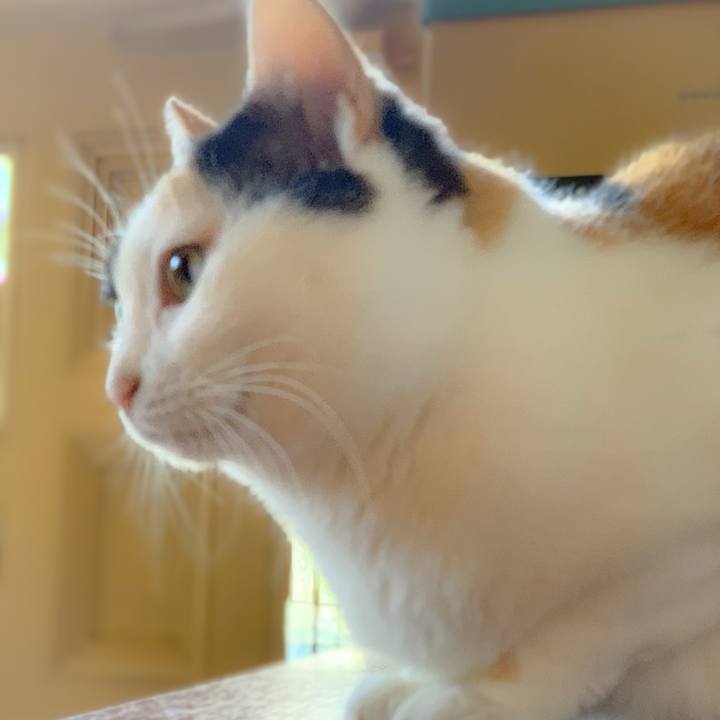 F23936ef 3c5a 47ed bef5 c8dca47773e5 1558750456783