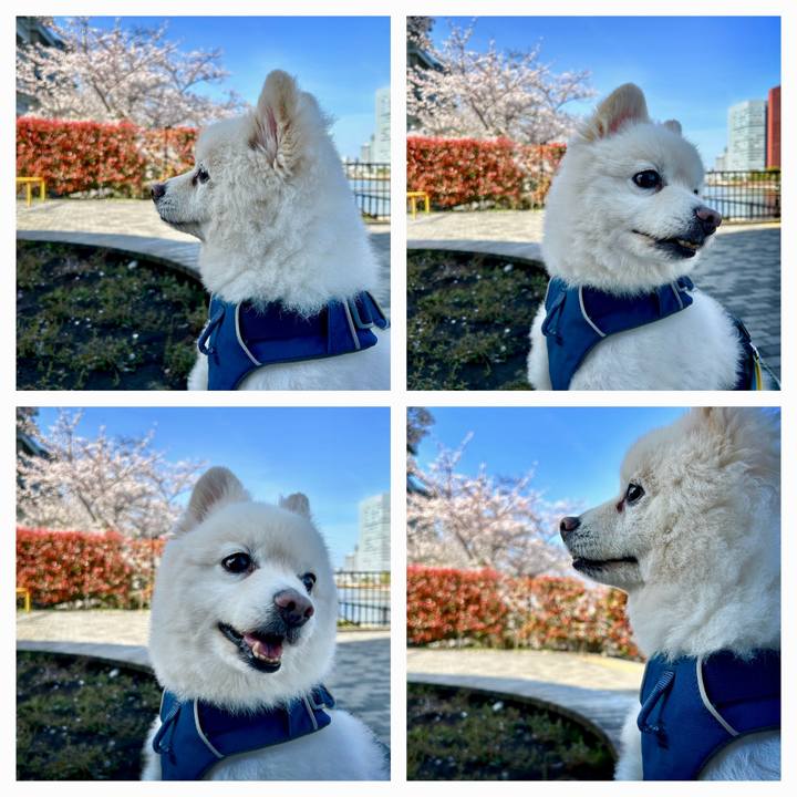 F239b050 fa6e 469c ac32 6b7eba802aa4 1775482564114