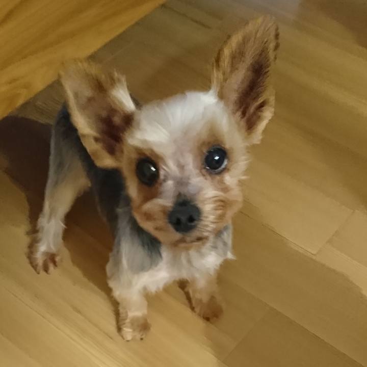 F239c79e 5711 4714 9215 17b625e087a0 1531745518733