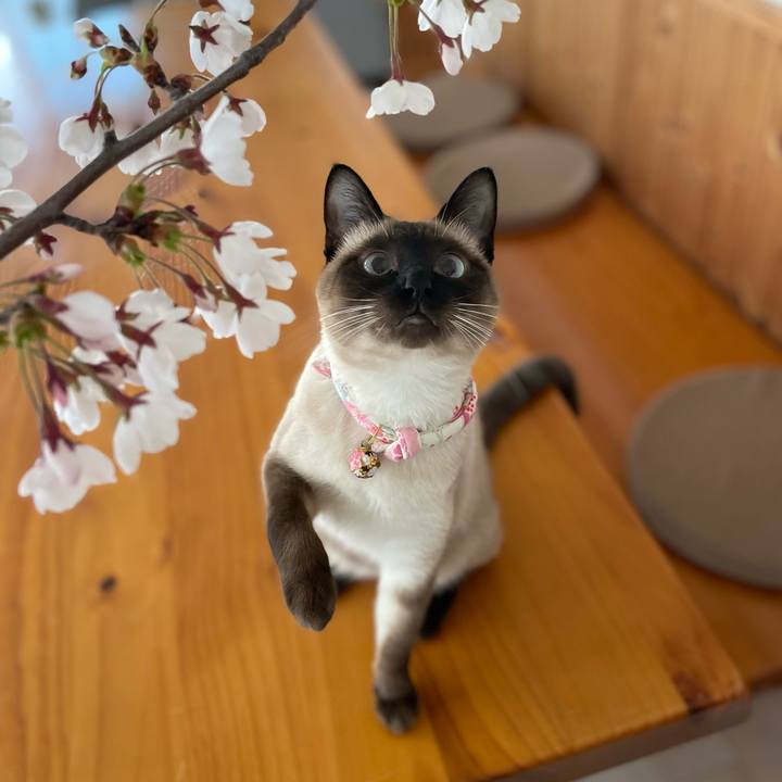 F23a3716 b3ad 4d0a b209 0e2188b7697c 1713647709034