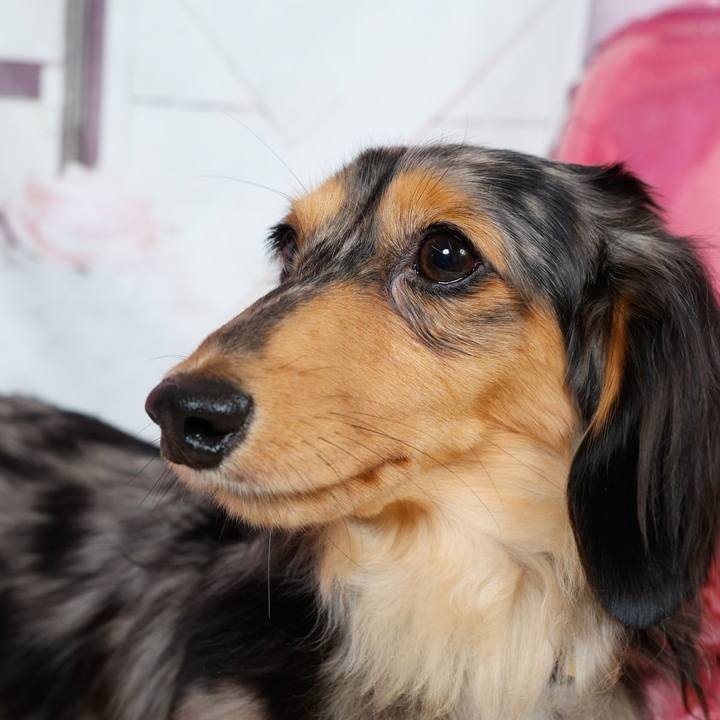 F23a41b8 8050 4a9e a9a5 d868e3d76e0e 1759754591225