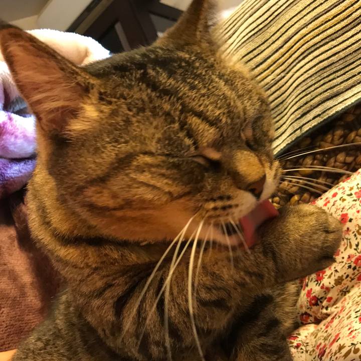 F23a44d6 2671 4cfb 9325 3798d5bfa509 1518395477361