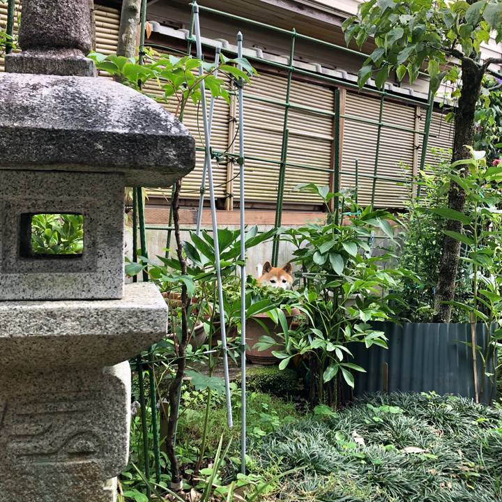 F23a7444 6554 4cf9 ac89 a8219738e29d 1562847440959