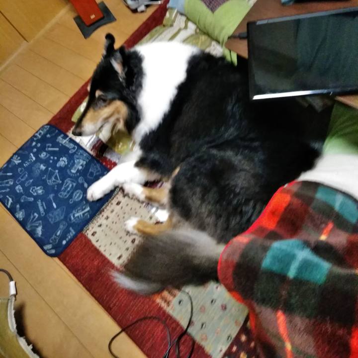 F23a814c 0940 445b b486 d9f40b3a34f6 1542113190991