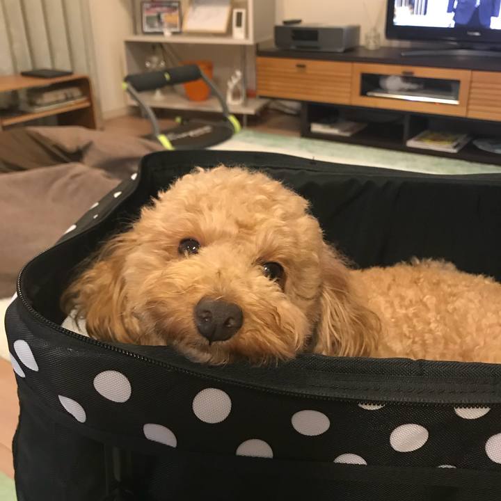 F23a8d43 d16c 4ef9 bd53 b35cce9fe301 1510660398424