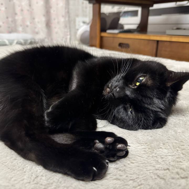 F23a9ccf 0923 49d6 a6bc bedb366a023c 1765968582627