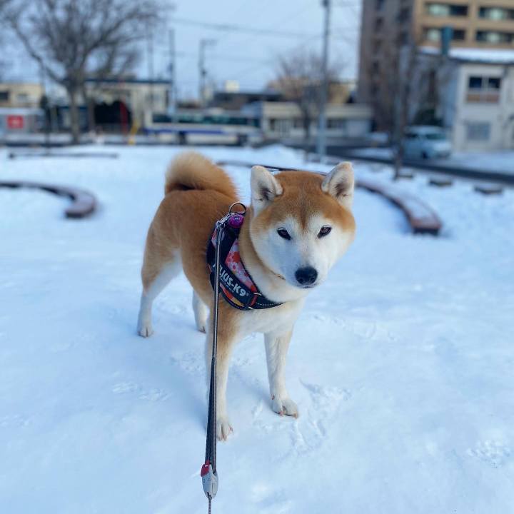 F23ad4cc af1e 4ecb b962 1f2f649cc20e 1672905338356