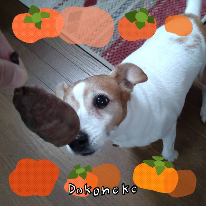 F23aed5f f57b 48ce 81cd 73d053209433 1761402546270