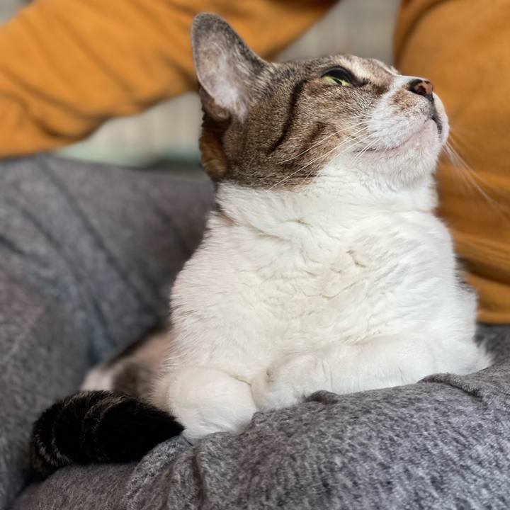 F23b0db4 fdd1 466c b346 b24384fc72ea 1634694792458