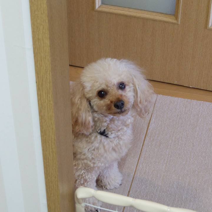 F23b271e 5c17 4f52 8467 5c56a6d8378a 1591528056823