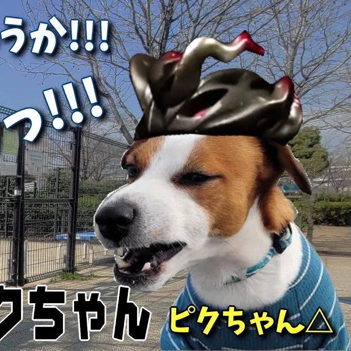 F23b28a2 ec70 4ead b495 cae6953ba3d3 1679805900316