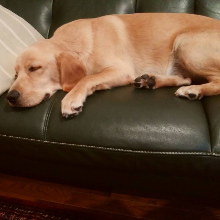 F23b30de 9599 481e 862a 257a12e0a629 1507934200558