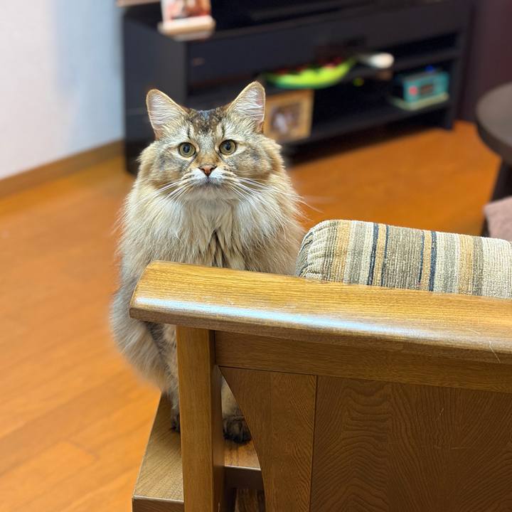 F23b4867 3586 4ae7 94f9 77384521e7fa 1764042706788