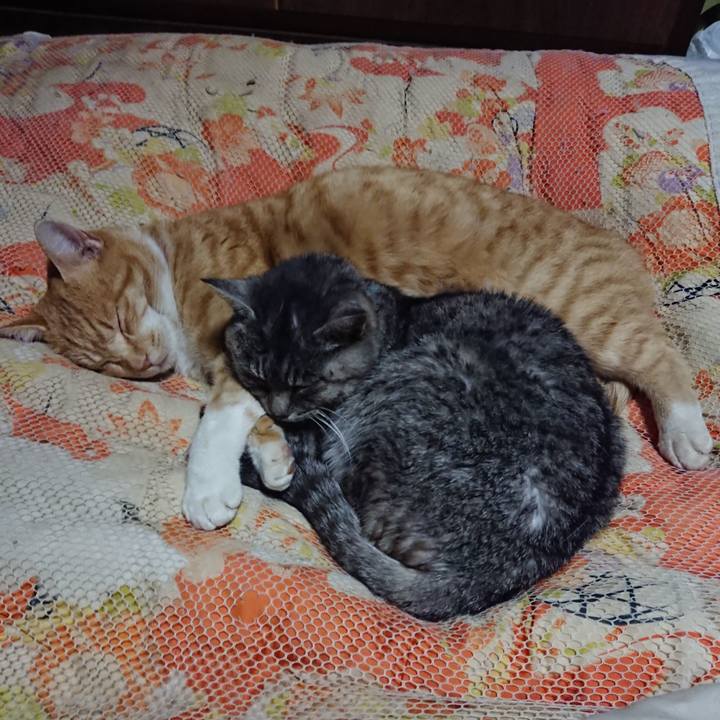 F23b6712 94ca 471f b4f1 9fd3c642881c 1577104282322