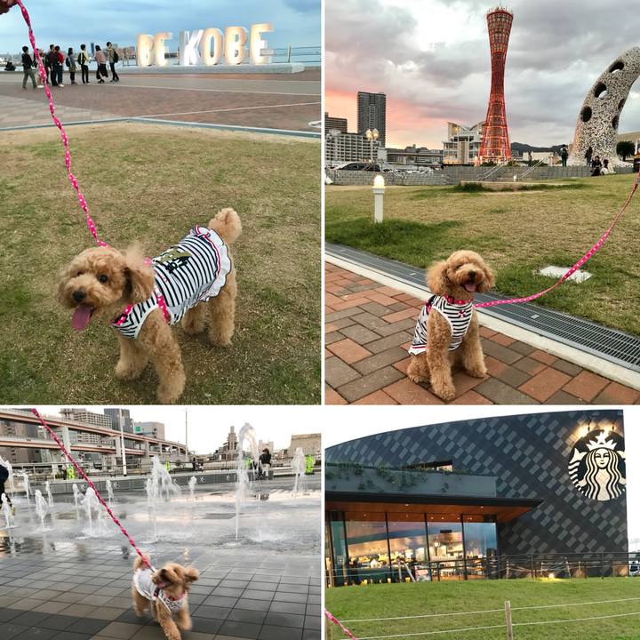 F23bacaa 1825 438f bbc2 44dd4eac4165 1539434310167